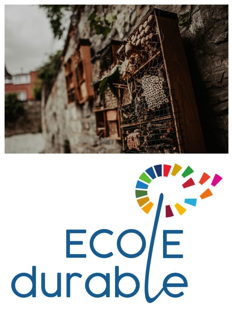 ESND_ProjetsCitoyens_Collage Hôtel à insectes et logo "école durable" de l'ESND